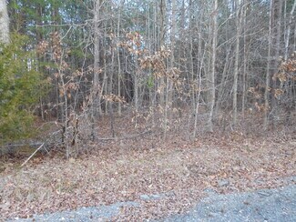 Smyrna, SC Commercial Land - Tanners Rd Smyrna, SC Commercial Land - Tanners Rd