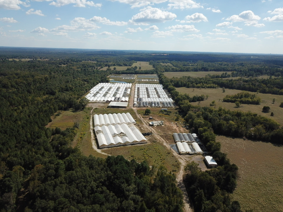 11888 County Road 345, Winona, TX for Sale