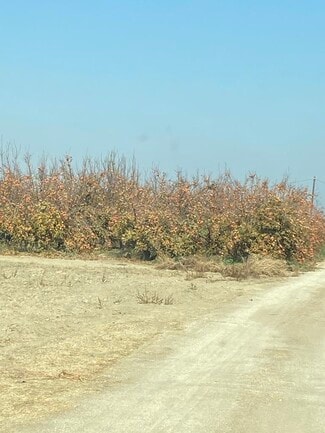 Earlimart, CA Agricultural - 10426 Avenue 56