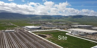 Tejon Ranch, CA Distribution - Wheeler Ridge & Santa Elena