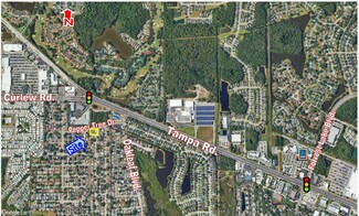 Oldsmar, FL undefined - 1801 Peppertree Dr