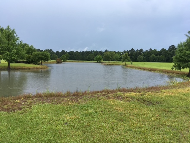 Highway 10 & FM 1136, Orange, TX for Sale