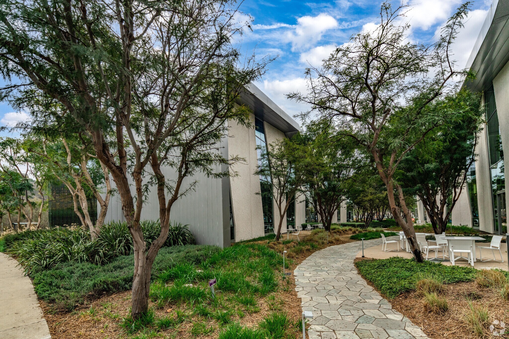 12015 W Bluff Creek Dr, Playa Vista, CA for Rent