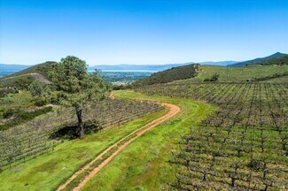 Kelseyville, CA Agricultural Land - 7590 CA-29 Hwy