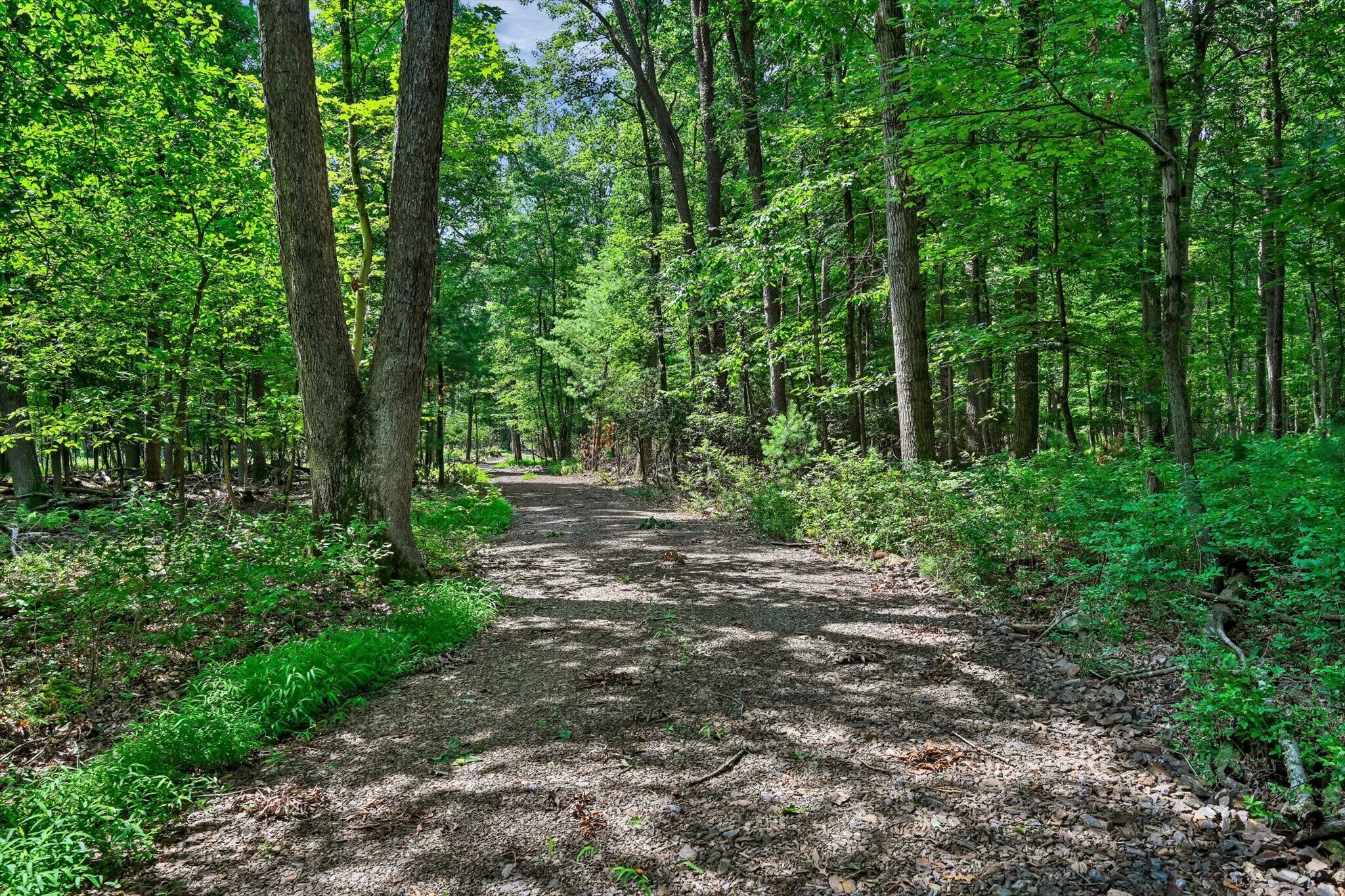 0 Moyers Station Rd, Schuylkill Haven, PA for Sale