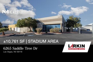 Las Vegas, NV undefined - 6265 Saddle Tree Dr