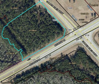 Brunswick, GA Commercial Land - 7215 GA Highway 99 Brunswick, GA Commercial Land - 7215 GA Highway 99