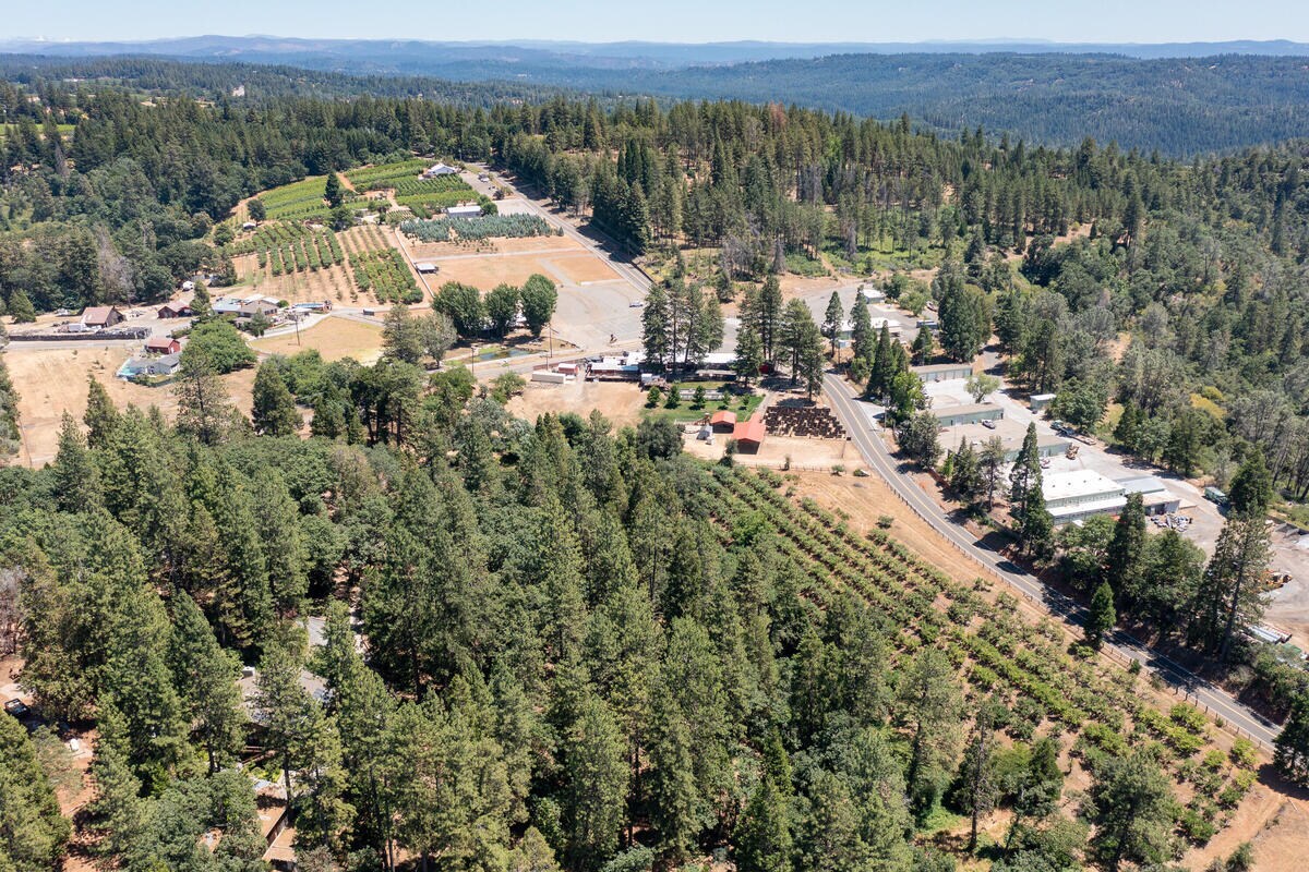 2360 Union Ridge Rd, Placerville, CA for Sale