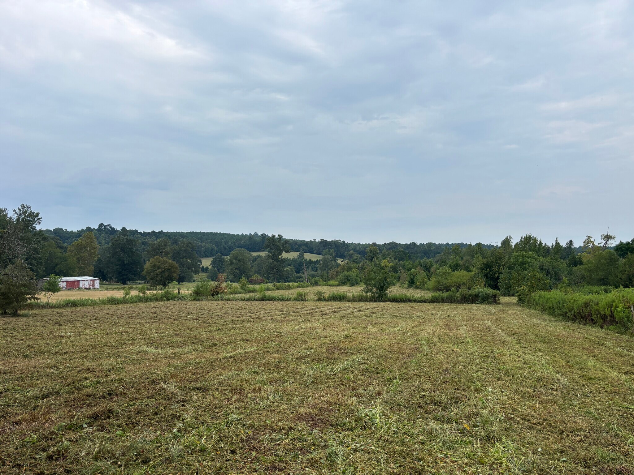 TBD 12.9 CR 1243, Linden, TX for Sale