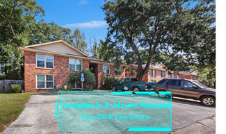 Mount Pleasant, SC Multi-Family - 918 Sea Gull Dr