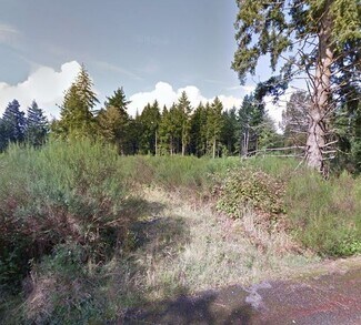 Tumwater, WA Residential Land - SW Fishpond Creek Dr
