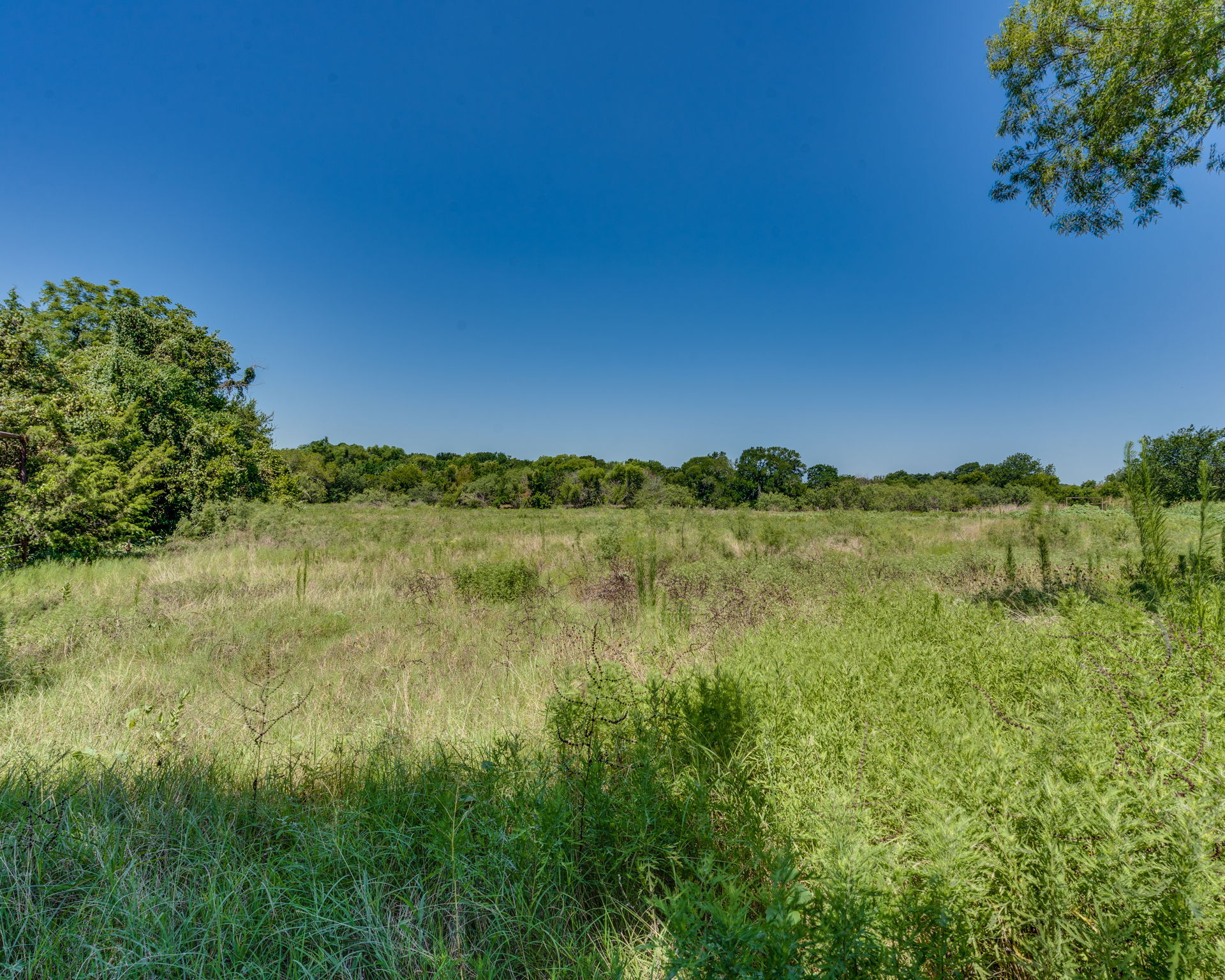 6550 County Road 4030, Blooming Grove, TX for Sale