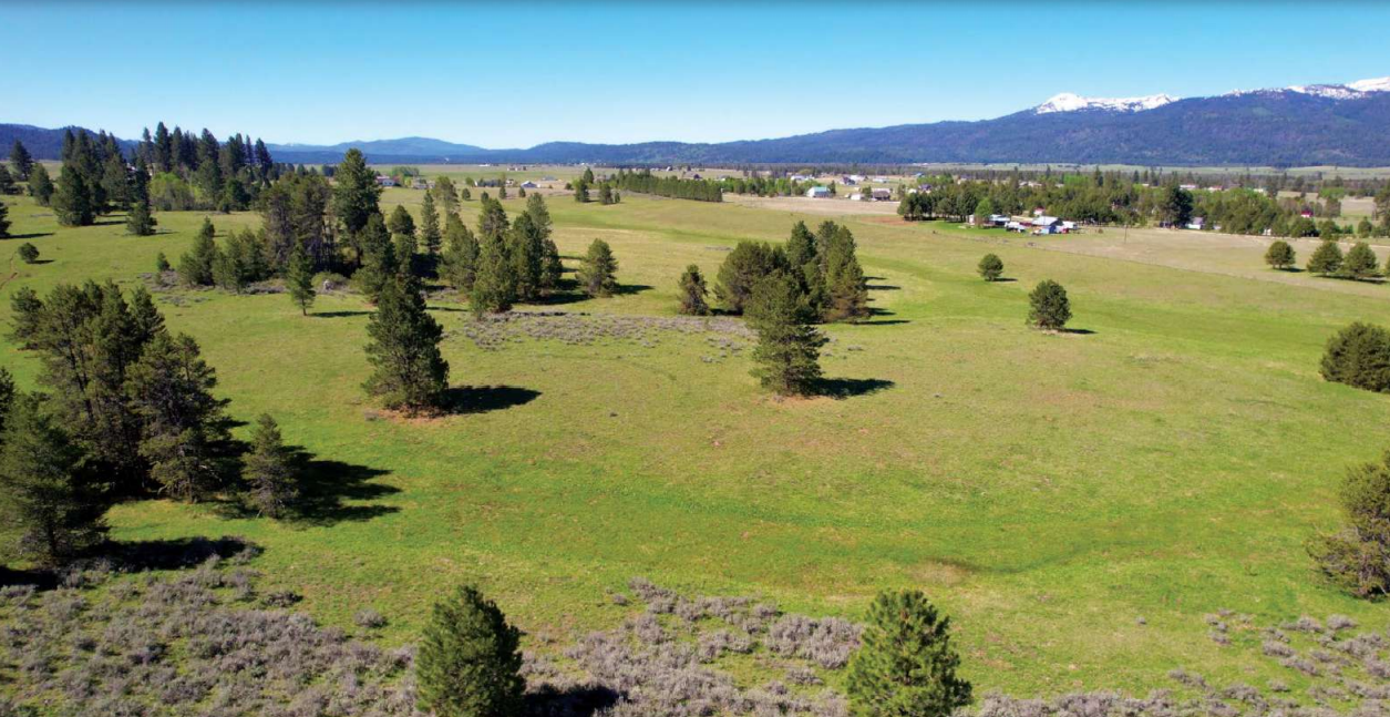 E. Prospector, Cascade, ID for Sale