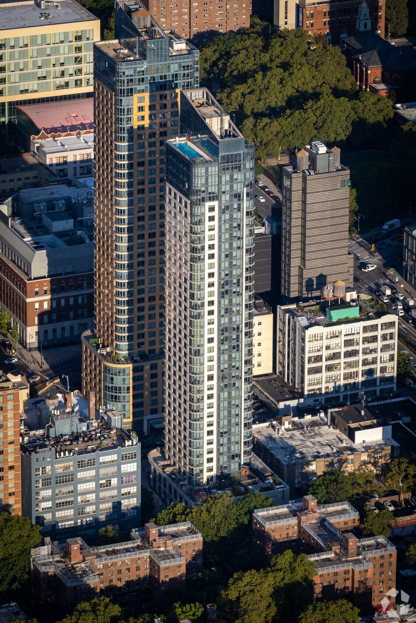 309 Gold St, Brooklyn, NY for Rent