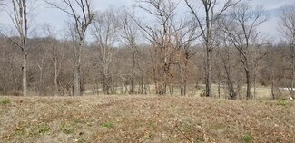 84 Huntleigh Woods Ct (Lot 418)  