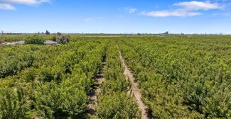 Fresno, CA Agricultural Land - Cherry Ave Fresno, CA Agricultural Land - Cherry Ave