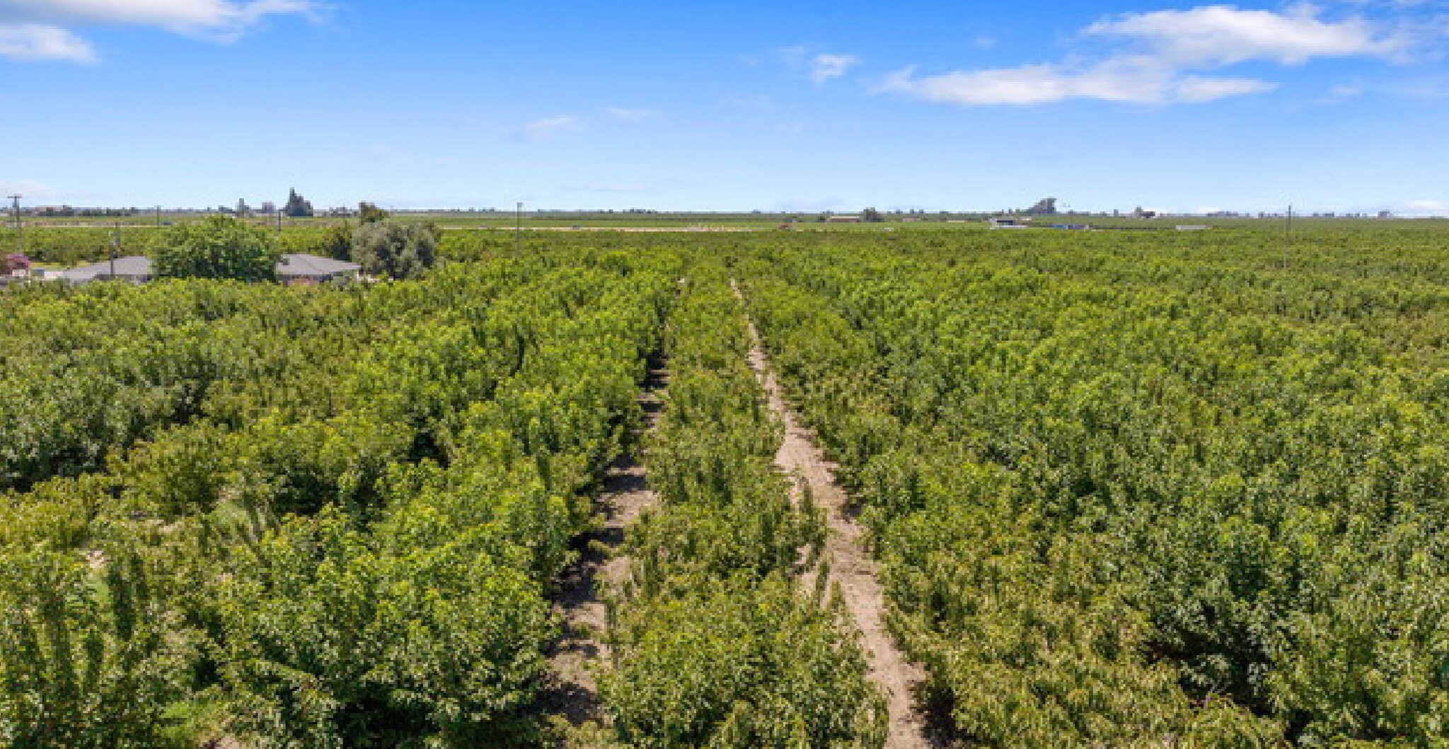 Cherry Ave, Fresno, CA for Sale