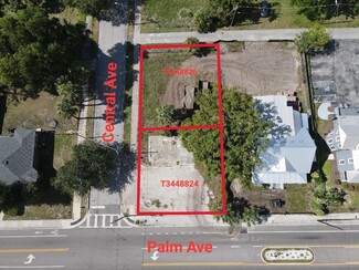 Tampa, FL Commercial - 411 E Palm Ave