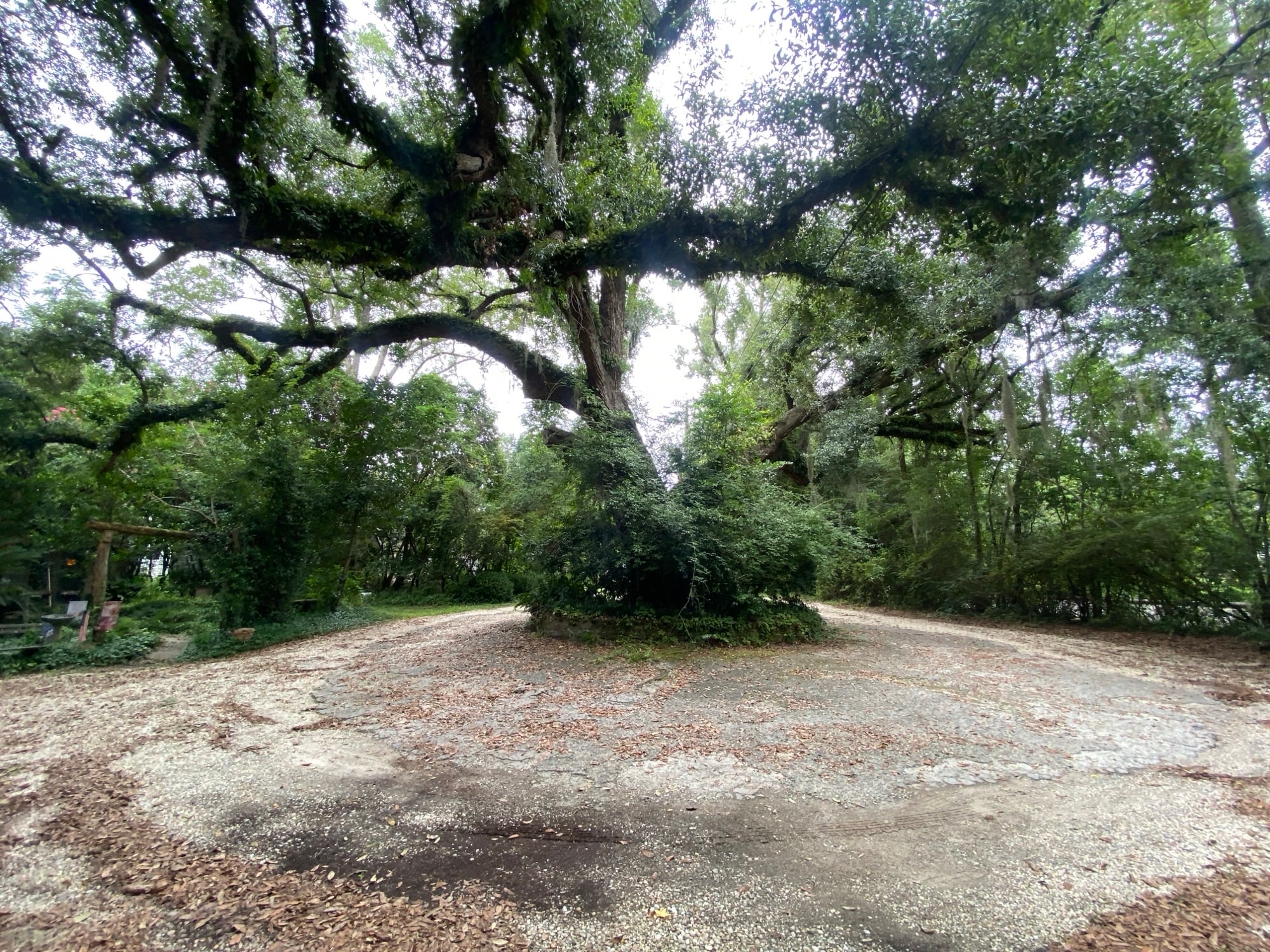 306 E Doty Ave, Summerville, SC for Sale