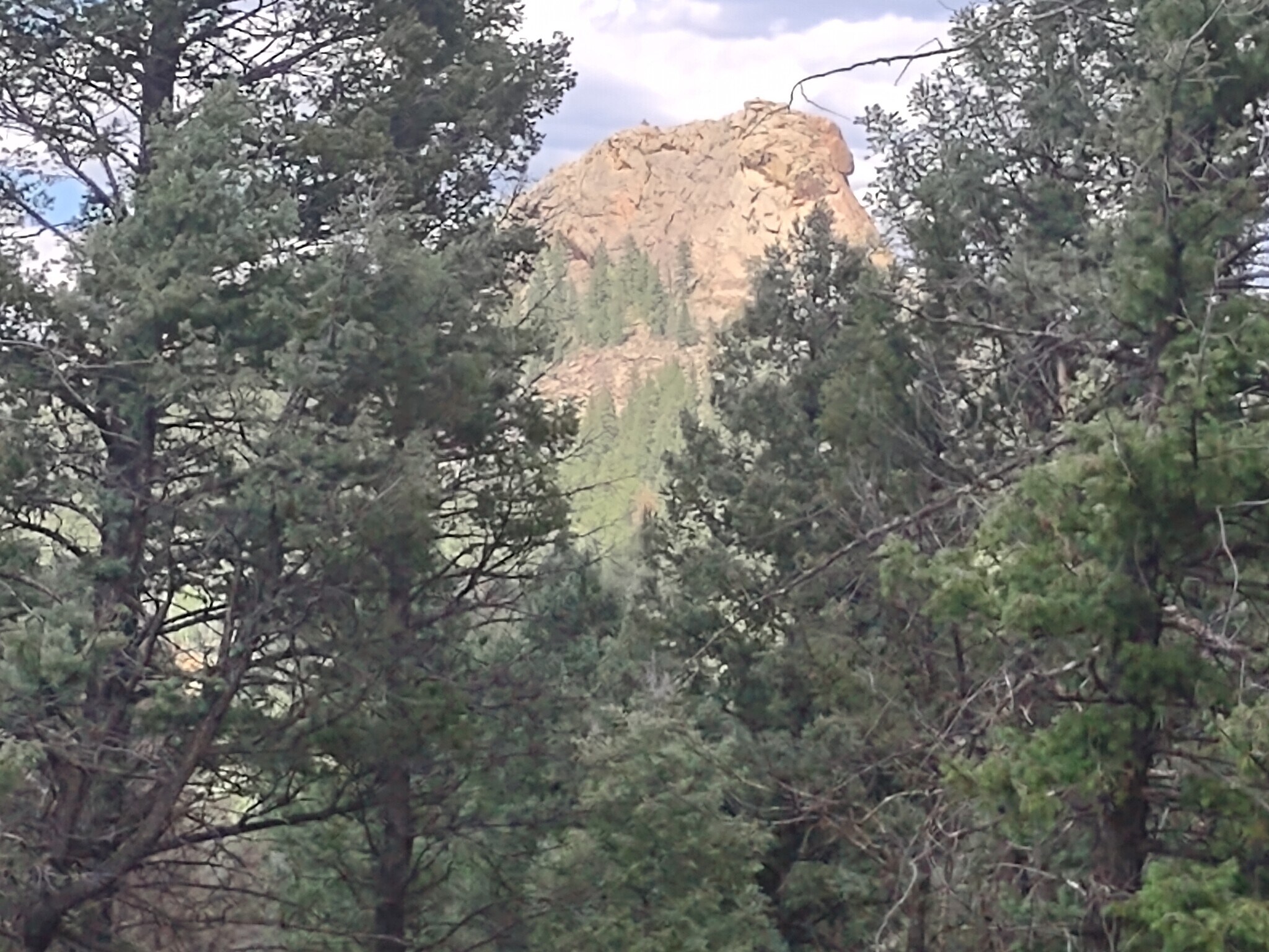 1176 Trail Creek Rd, Lake George, CO for Sale