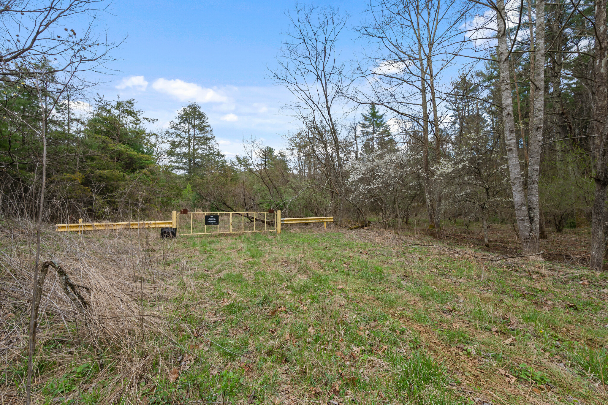 TBD Cole Mountain Road, Hiwassee, VA for Sale