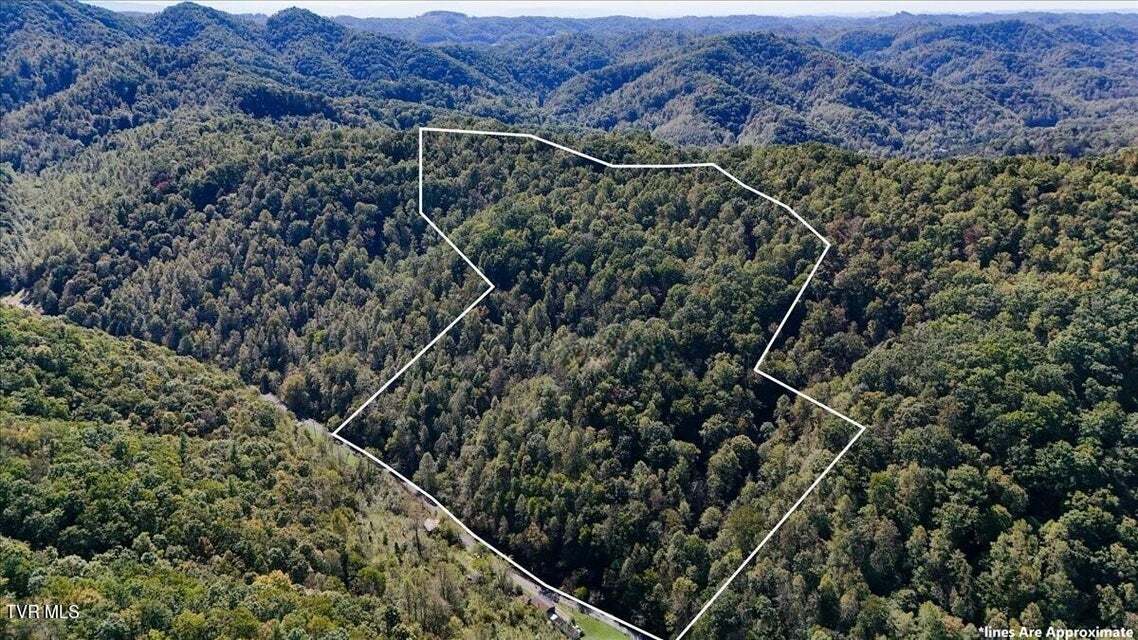 4087 Livingston Creek rd, Bristol, VA for Sale