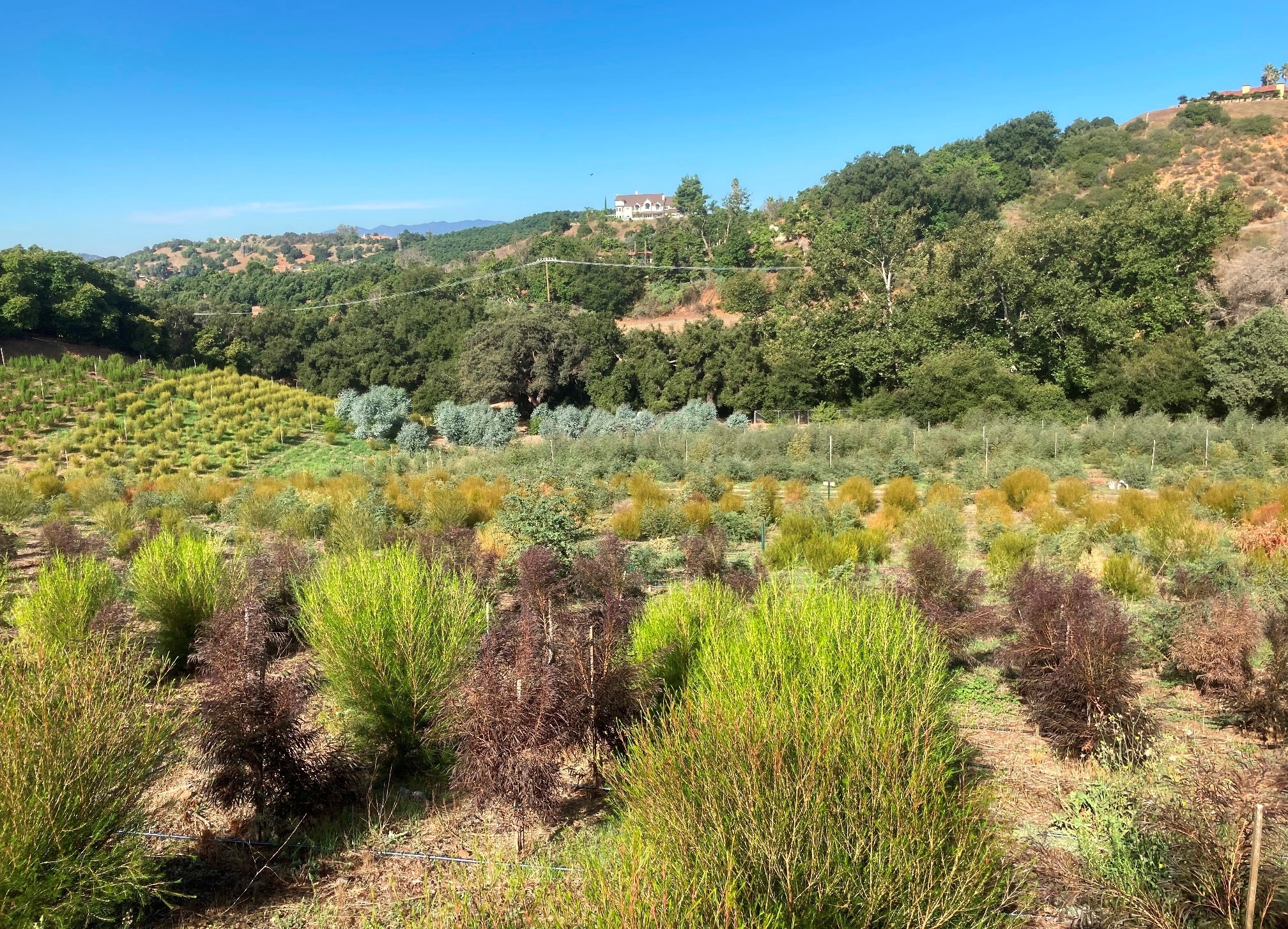 4 Parcels SANDIA CREEK/DELORME dr, Temecula, CA for Sale