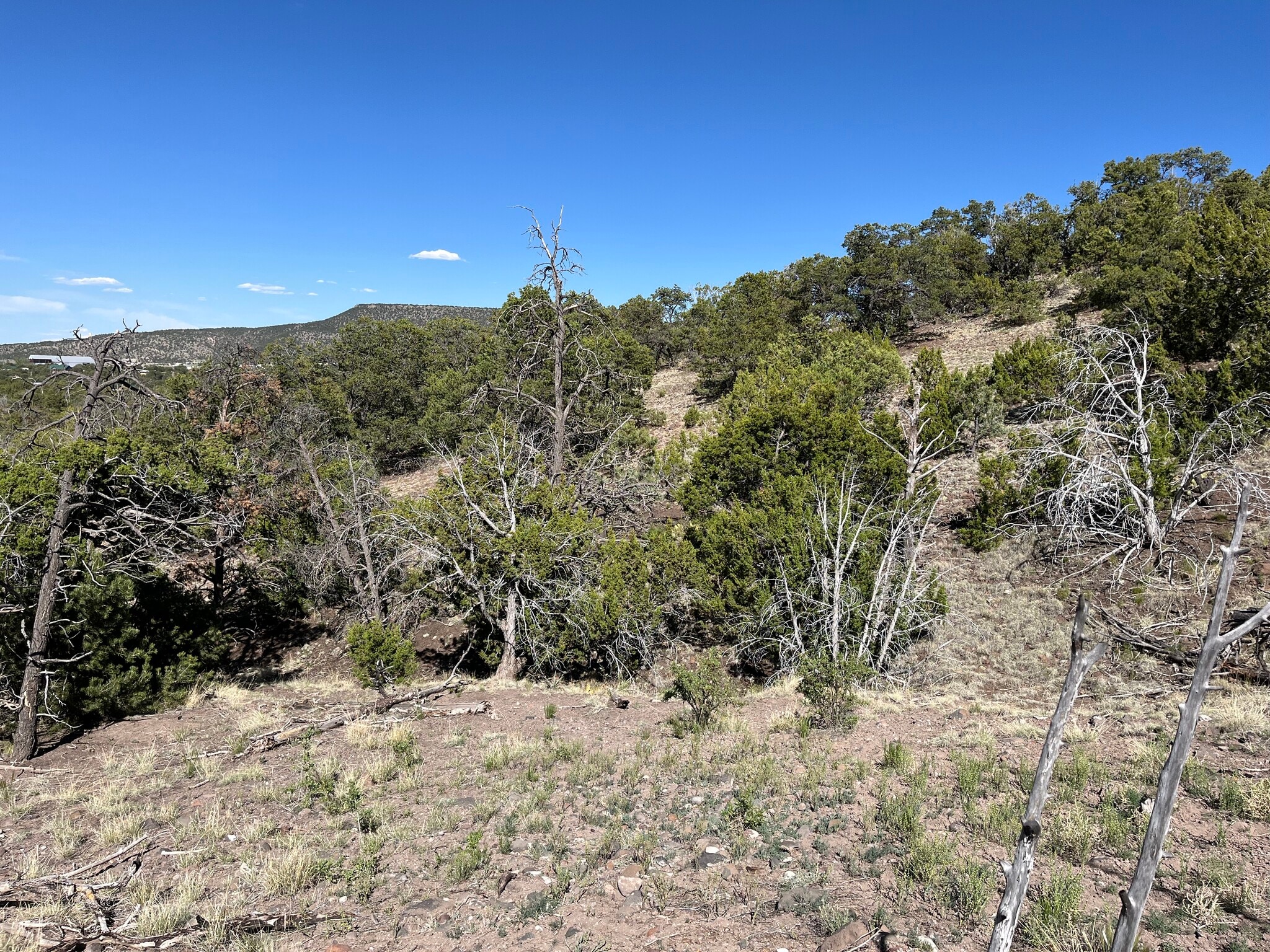 Double Tree Lane, Eagar, AZ for Sale