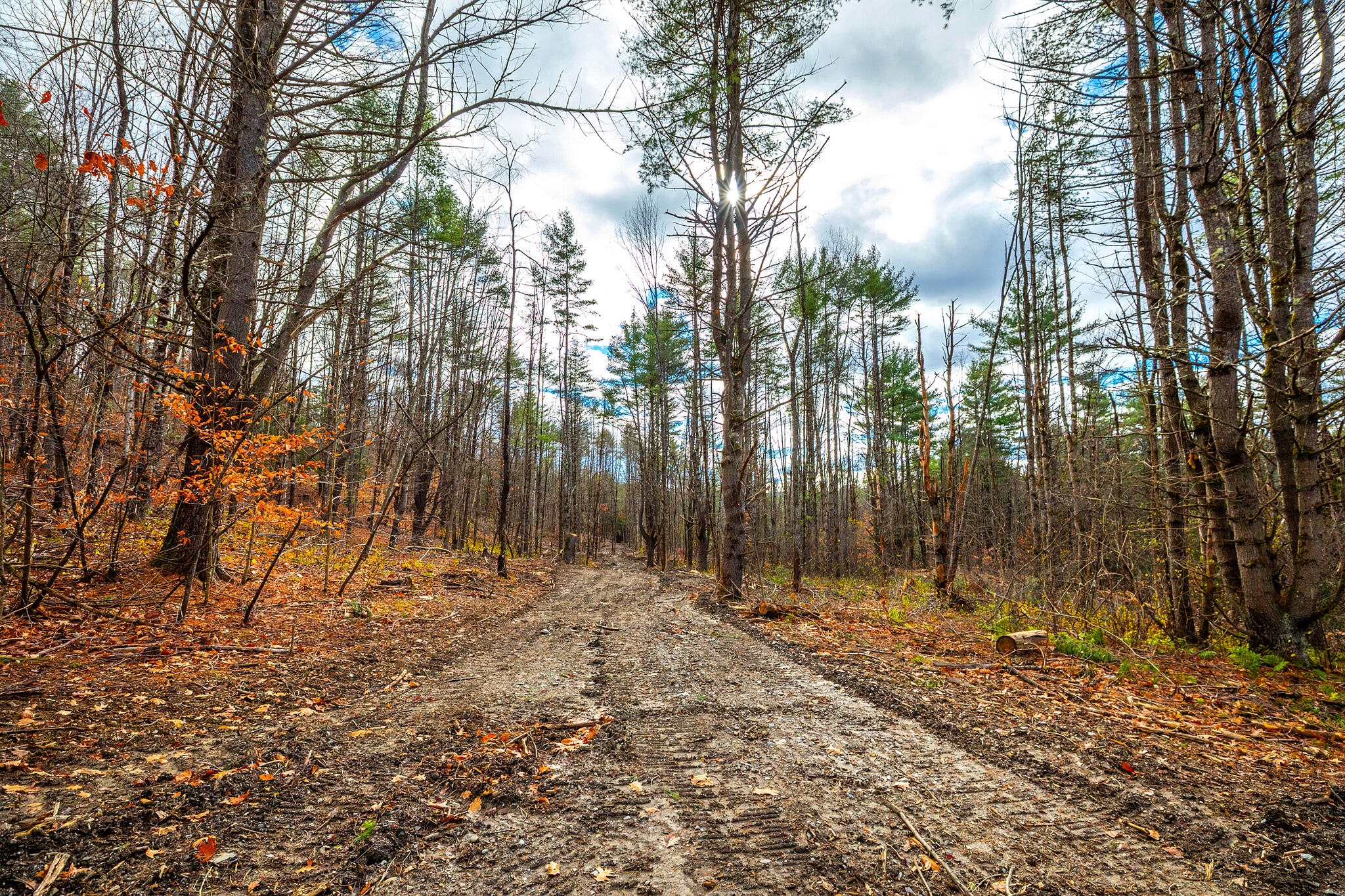 40 E Putney Brook Rd, Putney, VT for Sale