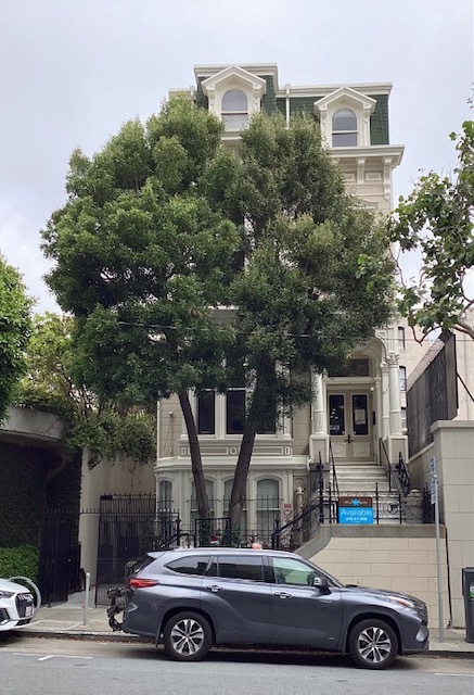 1362 Post St, San Francisco, CA for Rent