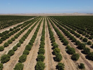 Madera, CA Agricultural - 23762 Road 602