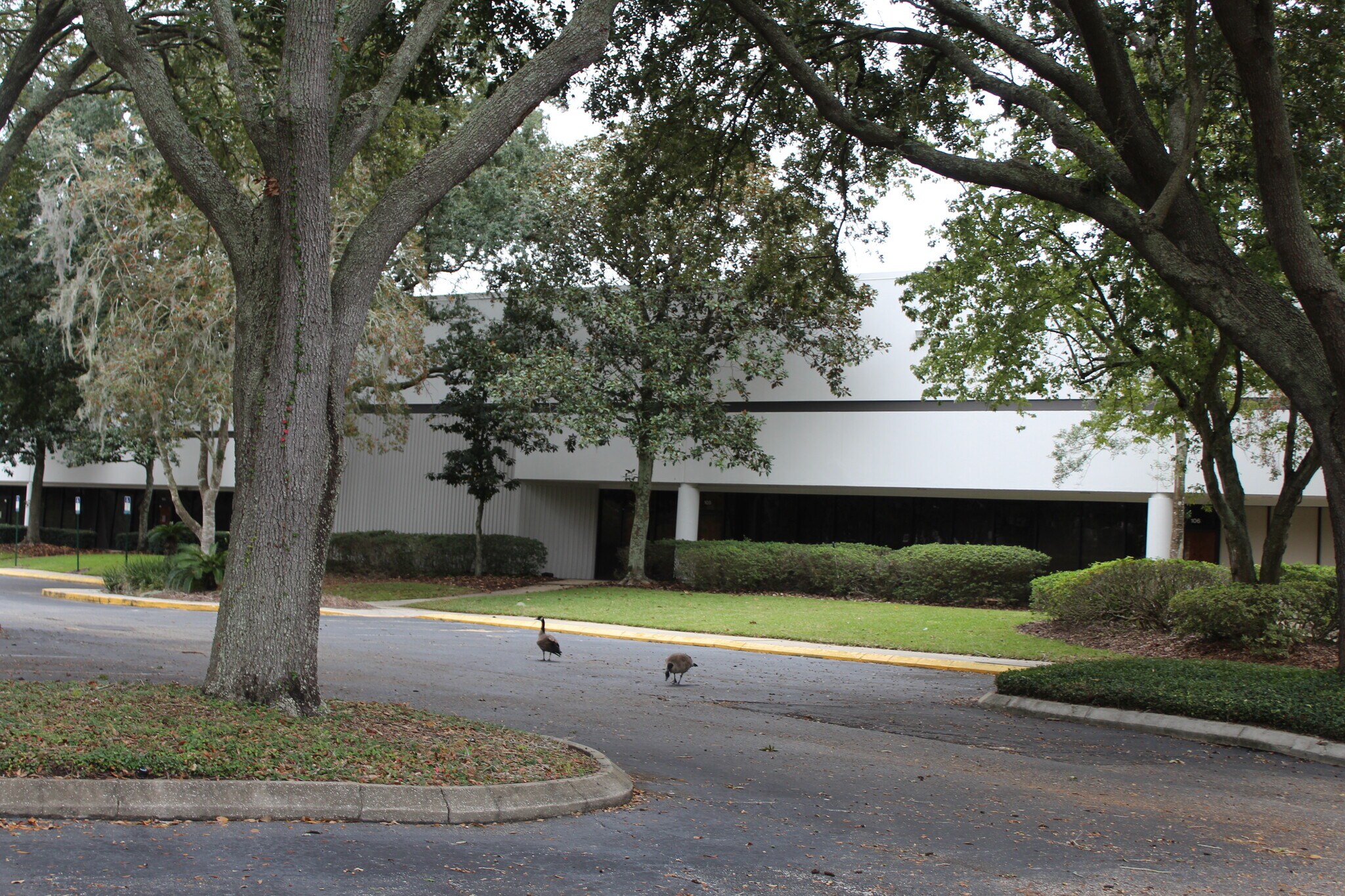 13910 Alvarez Rd, Jacksonville, FL for Rent