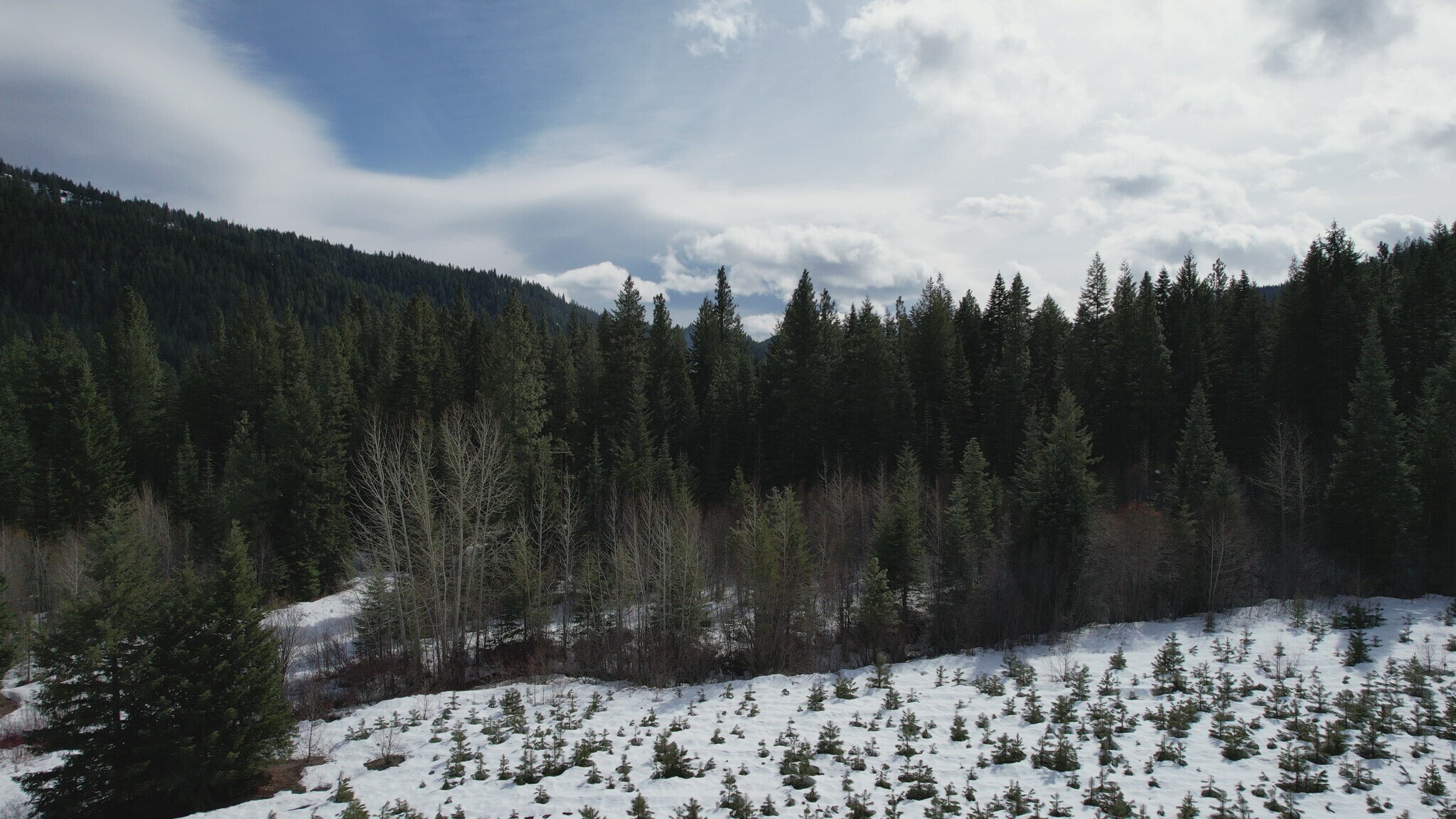 18305 Winton Rd, Leavenworth, WA for Sale