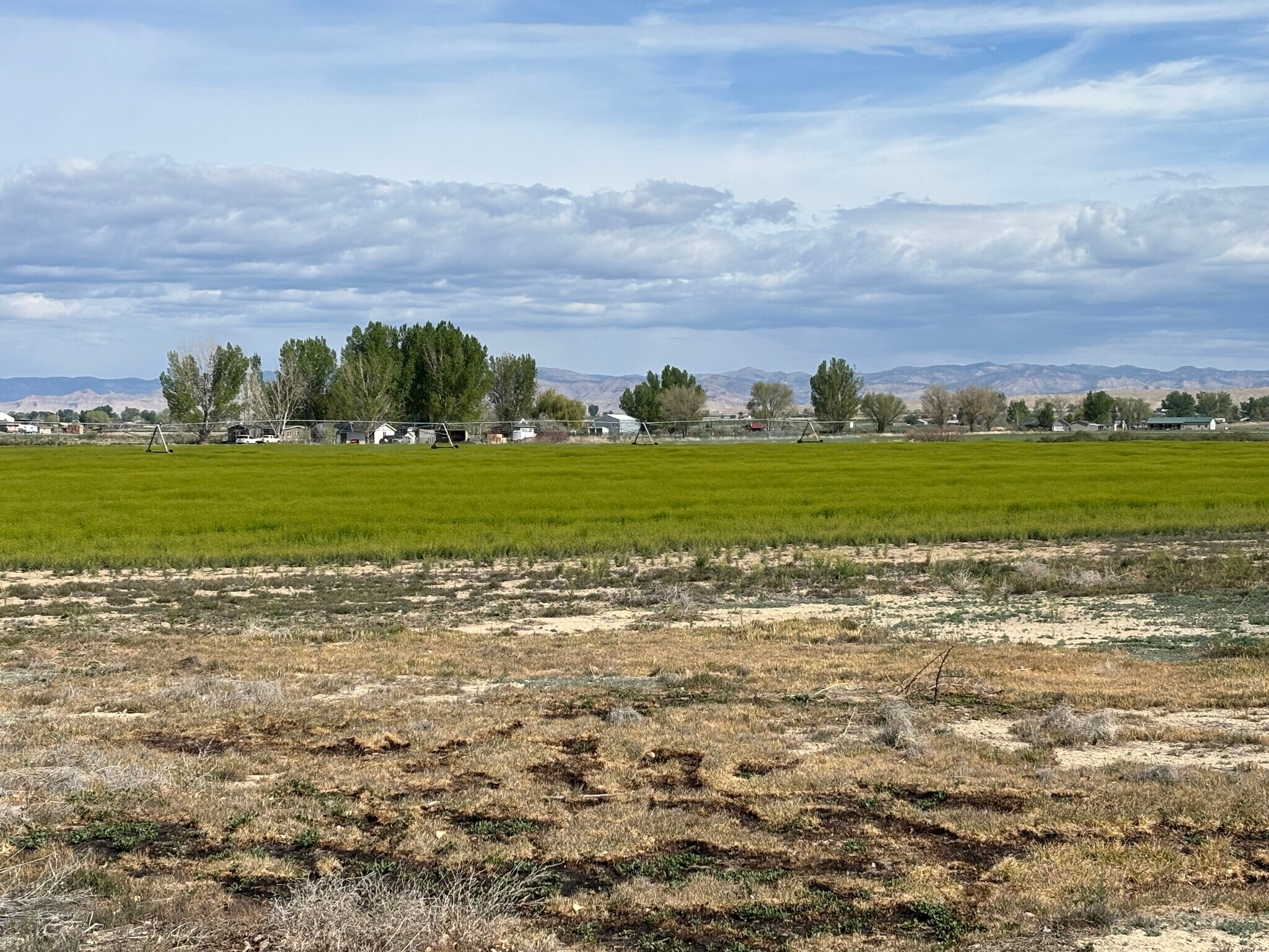 1402 O Rd, Loma, CO for Sale