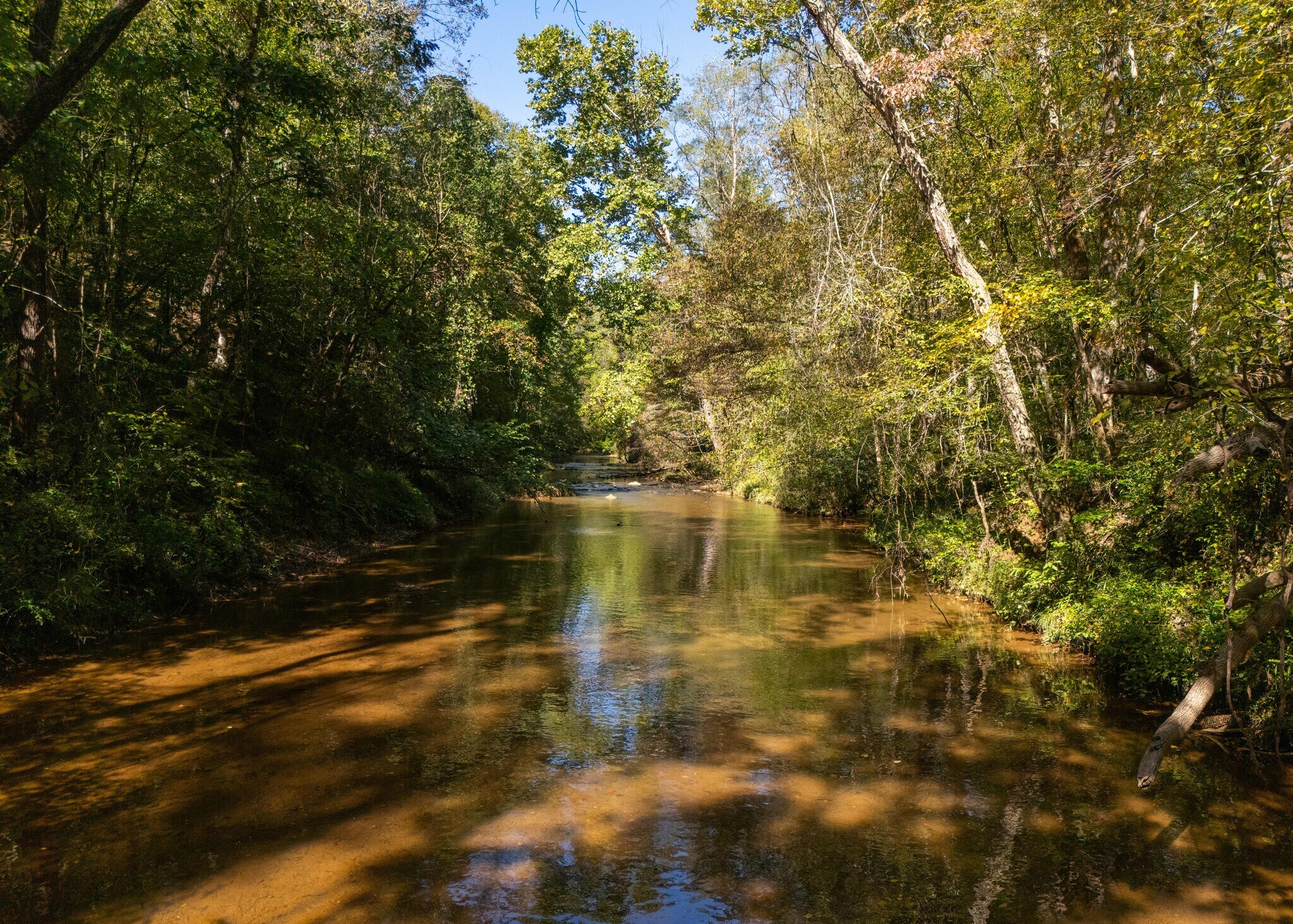 501 Caldwell Rd, Blacksburg, SC for Sale