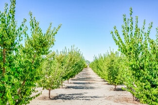 Phelan, CA Agricultural - 13830 Paramount Rd Phelan, CA Agricultural - 13830 Paramount Rd