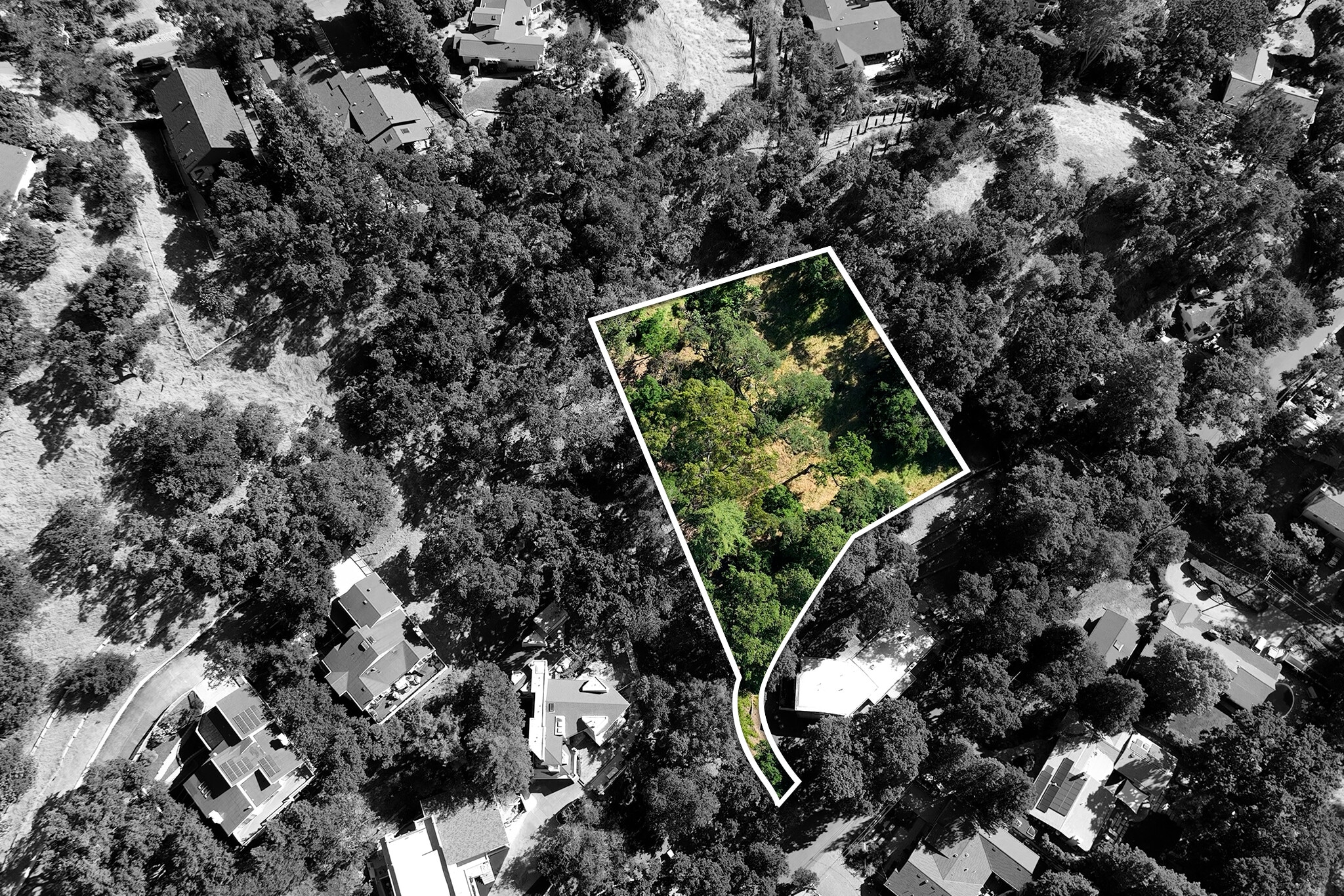 247 Sequoia ave, Walnut Creek, CA for Sale