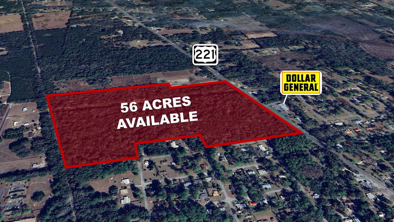 State Hwy 221 & Bowers West st, Perry, FL for Sale