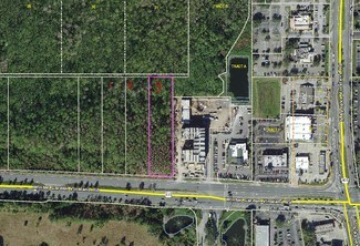 Orlando, FL Commercial Land - 12335 Winter Garden Vineland Rd Orlando, FL Commercial Land - 12335 Winter Garden Vineland Rd