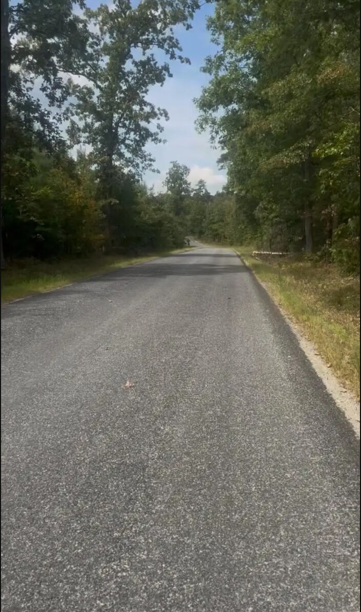 1629 Log Cabin Rd, Beaverdam, VA for Sale