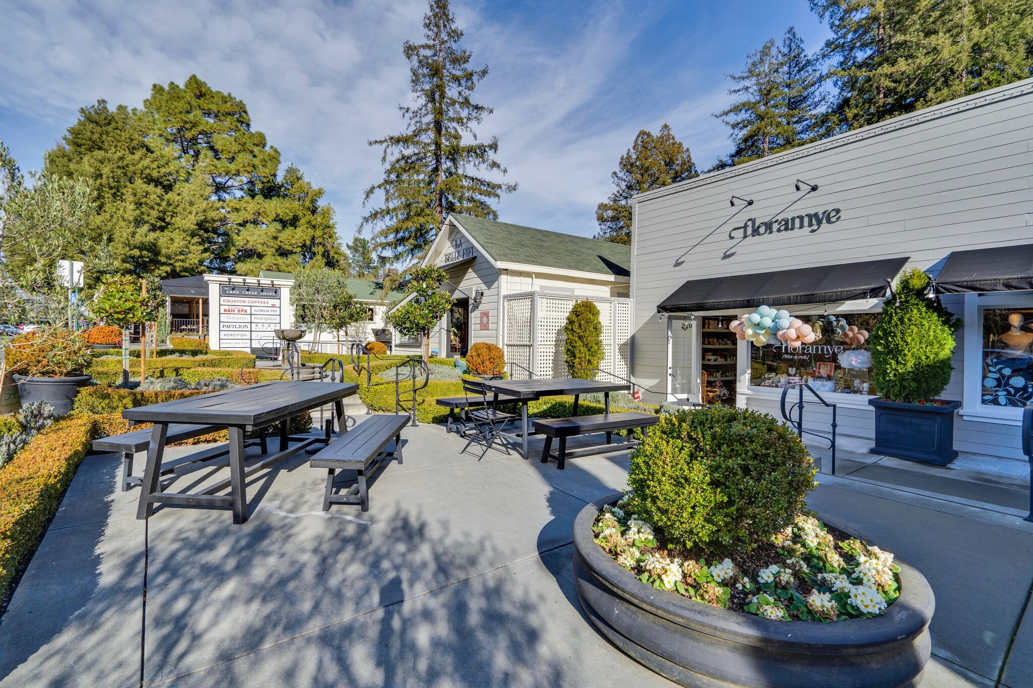 274 Magnolia Ave, Larkspur, CA for Rent