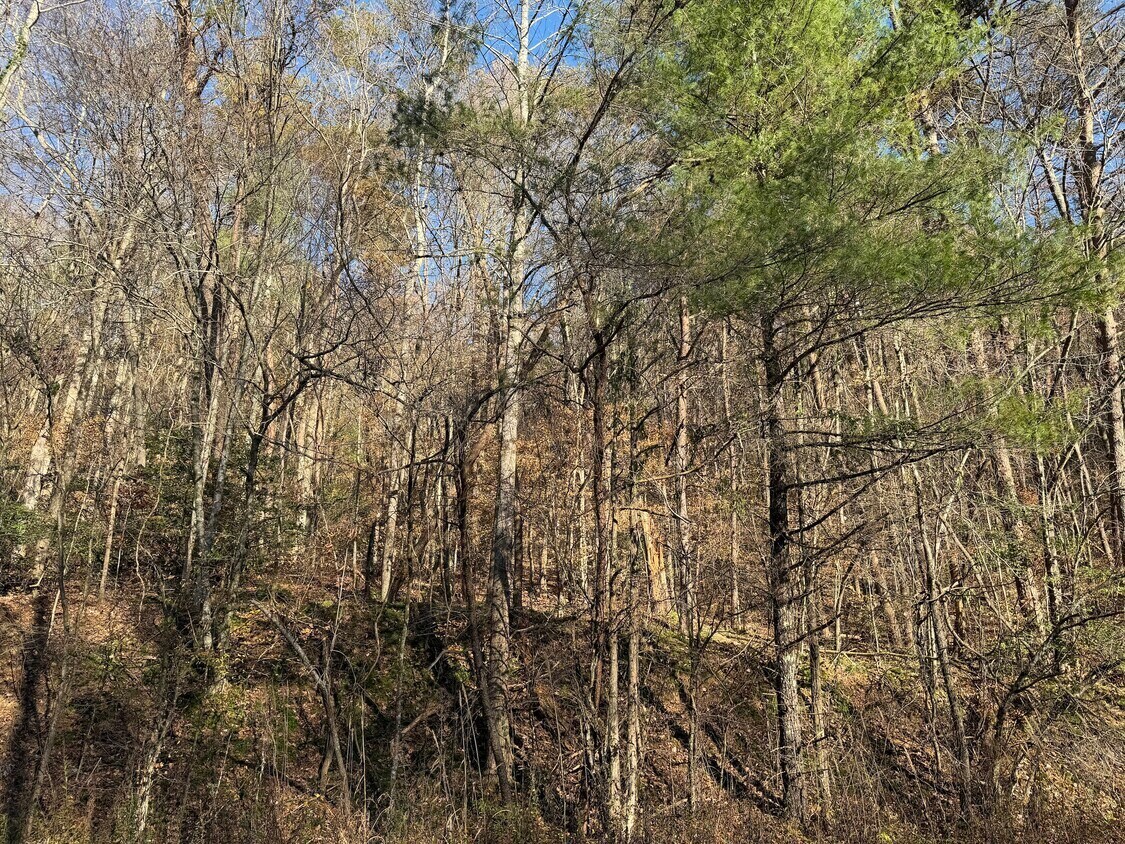 Whitepath Rd, Ellijay, GA for Sale
