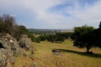 Plymouth, CA Agricultural - 148 Acre Landrum St