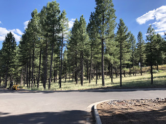 Flagstaff, AZ Residential - 800 N Switzer Canyon Dr