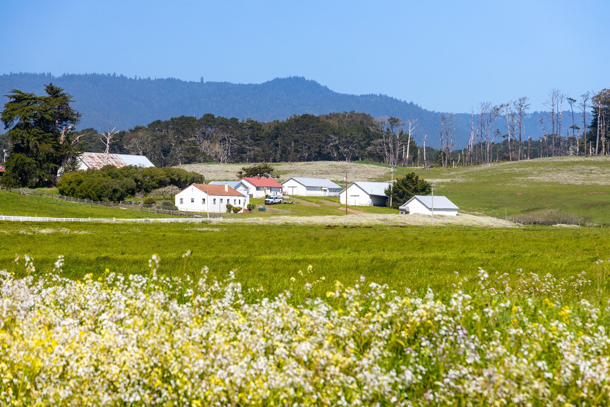 21601 S Highway 1, Point Arena, CA for Sale