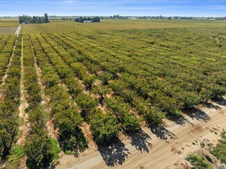 Lodi, CA Agricultural Land - 15089 Locust Tree rd
