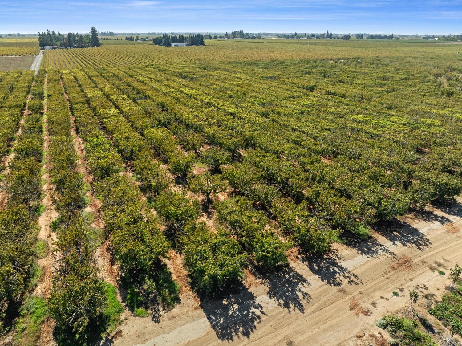 15089 Locust Tree rd, Lodi, CA for Sale