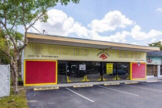 Wilton Manors, FL Retail - 2900 N Andrews Ave
