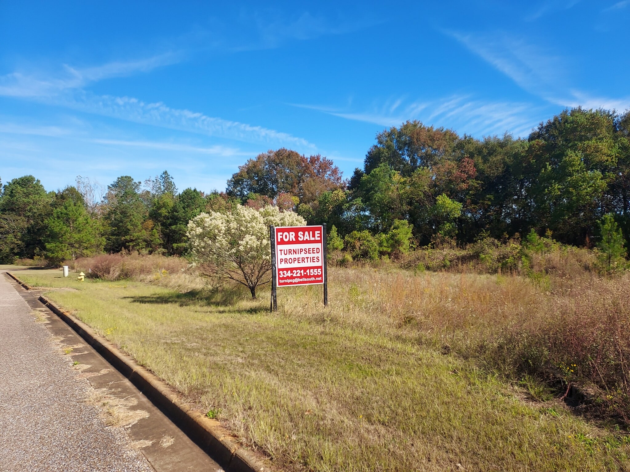 4 Todd Trail, Millbrook, AL for Sale