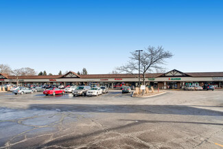 Streamwood, IL Retail - 1010-1072 E Schaumburg Rd